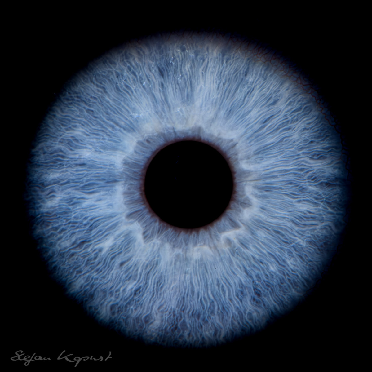 Irisfotografie Starnberg