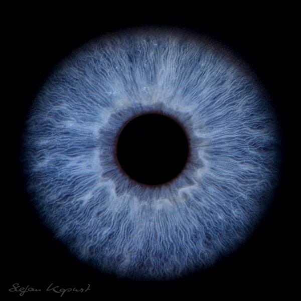 Starnberg Irisfotografie